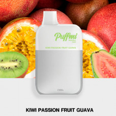 Puffmi DX 5000 MeshBox Kiwi Passion Fruit Guava