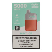  Puffmi DX 5000 MeshBox Mint Ice