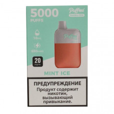  Puffmi DX 5000 MeshBox Mint Ice